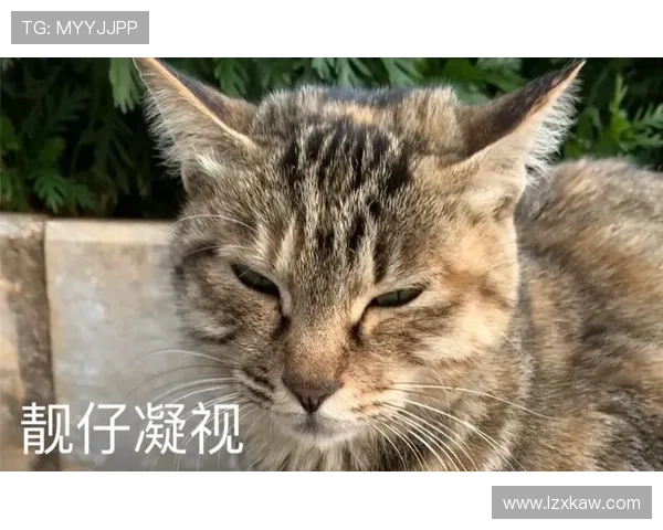 闄囧師绔炴妧钁ｄ簨闀垮洖搴旀媴蹇э細缁濋潪鏄欒姳涓€鐜帮紝涓箼鍙戝睍濂戝悎闀胯繙瑙勫垝